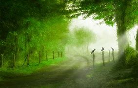 闫先生来到当地联通营业厅经交涉重新找回了号码,但之前的套餐业务已无法恢复。对于联通客服给出的销号原因,闫先生表示不能理解。