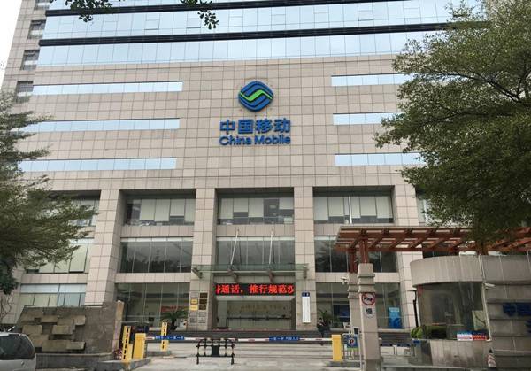 165号段是中国移动网络，用途为公众移动通信网网号，实则移动通信转售业务专用号段。并不是联通网络号段。