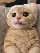 为什么的手机号是11位数,有什么原因呢?